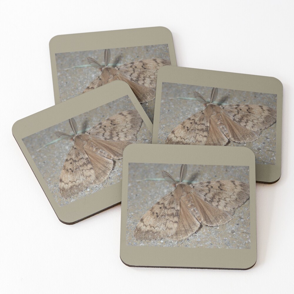 Item preview, Coasters (Set of 4) designed and sold by TC-Has-Riddles.