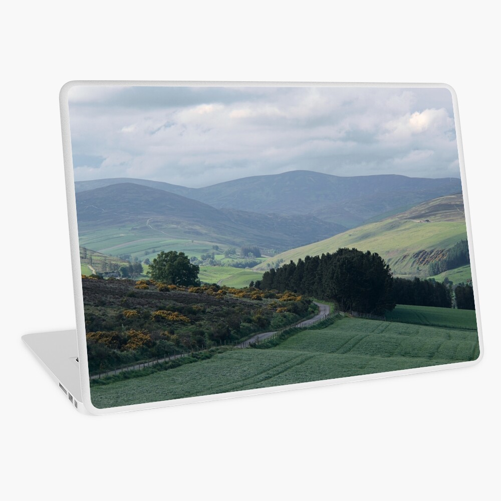 Item preview, Laptop Skin designed and sold by ShinyPhoto.