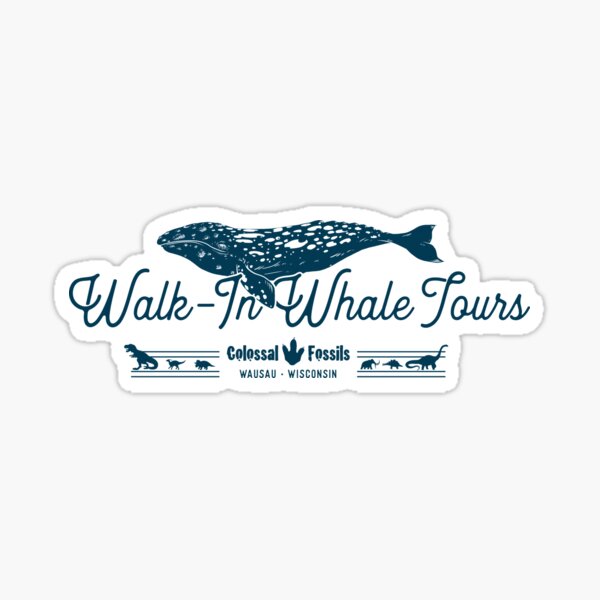 Walk-In Whale Tours Sticker