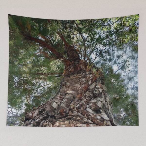 Item preview, Look Up, Look Waaaay Up! designed and sold by heatherfriedman.