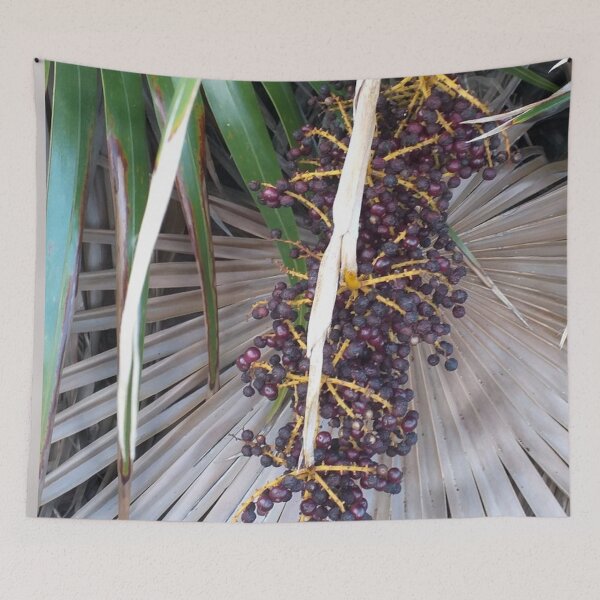 Item preview, Long Island Baha Top Tree designed and sold by SaSaBoutique.