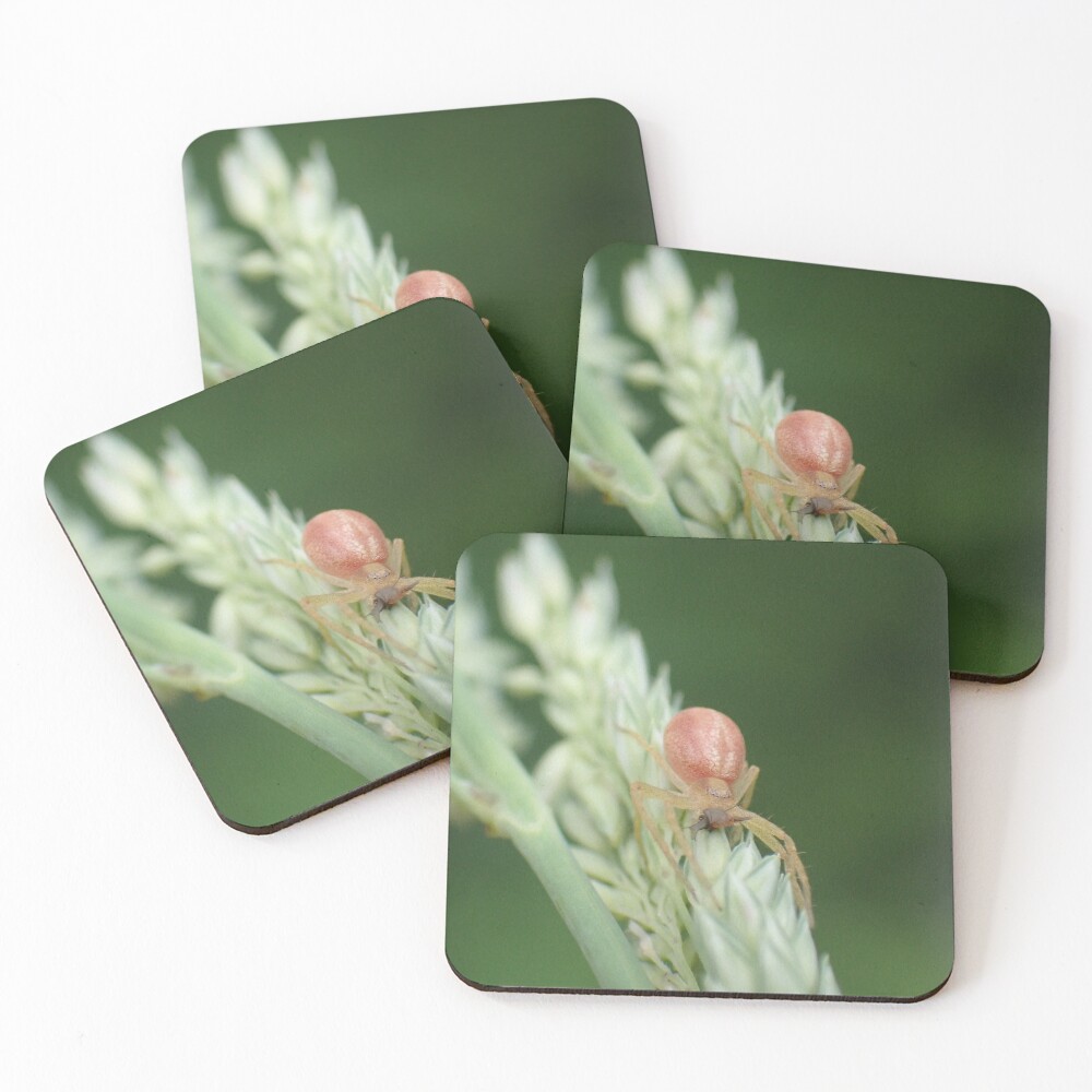 Item preview, Coasters (Set of 4) designed and sold by TC-Has-Riddles.