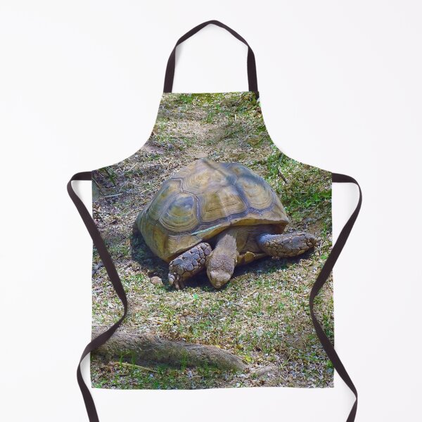 Item preview, Eastern Box Common Tortoise designed and sold by whitedove457.