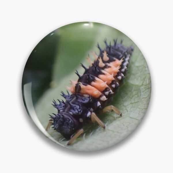 Item preview, Ladybug Larvae  designed and sold by TC-Has-Riddles.