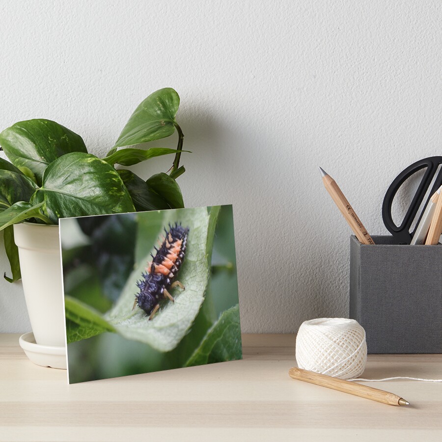 Item preview, Art Board Print designed and sold by TC-Has-Riddles.