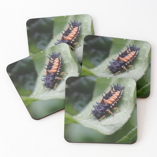 Item preview, Ladybug Larvae  designed and sold by TC-Has-Riddles.
