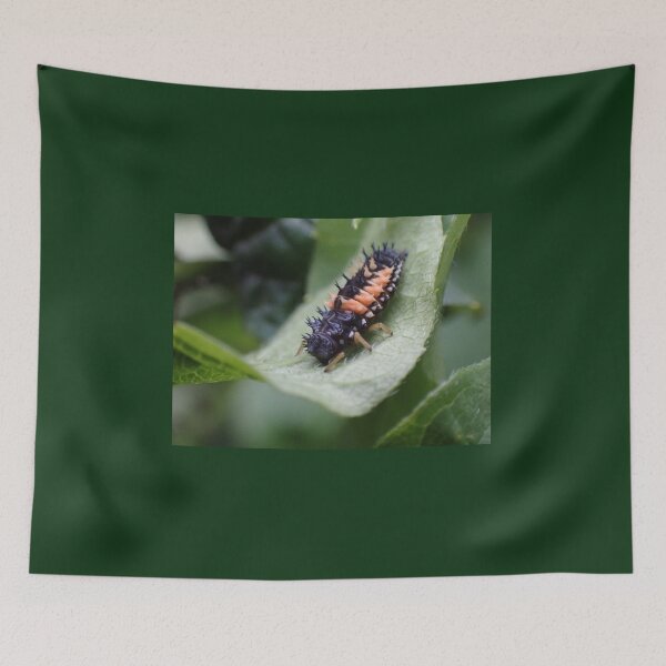 Item preview, Ladybug Larvae  designed and sold by TC-Has-Riddles.