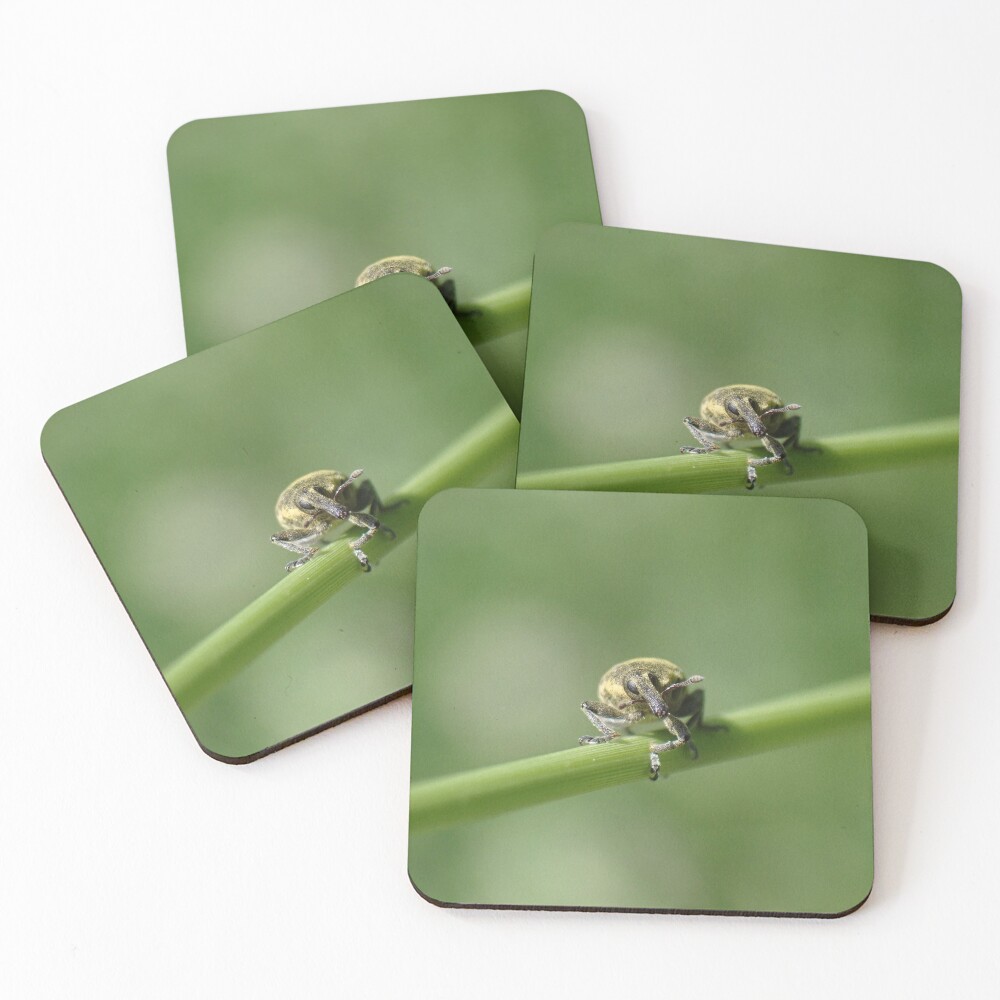 Item preview, Coasters (Set of 4) designed and sold by TC-Has-Riddles.