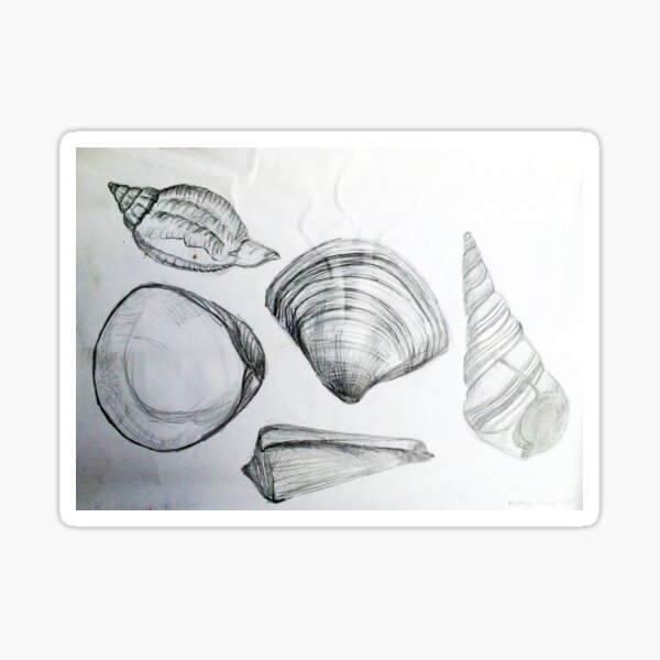 Sea Shells 4 by Margo Humphries Sticker