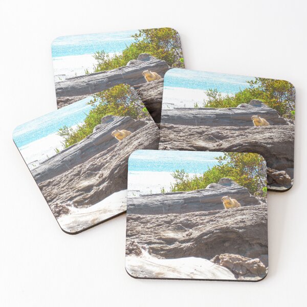 Item preview, Squirrel on Log at California Beach designed and sold by BeeLightPhotos.
