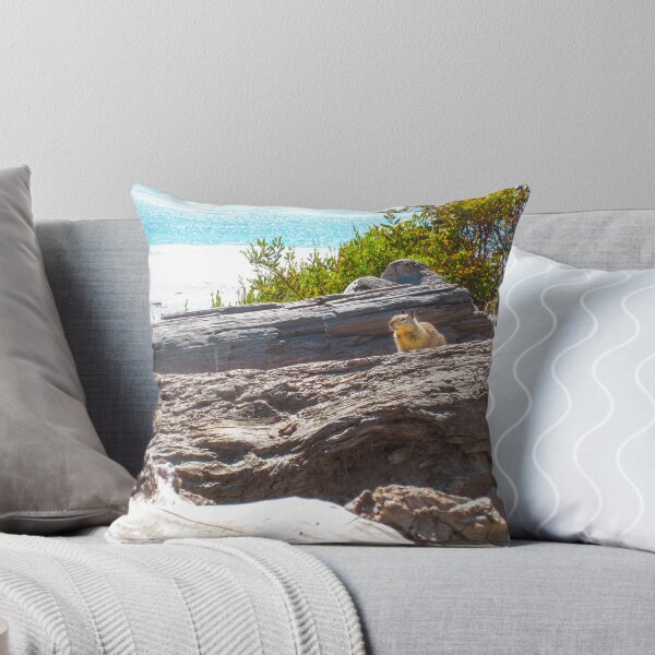 Item preview, Squirrel on Log at California Beach designed and sold by BeeLightPhotos.