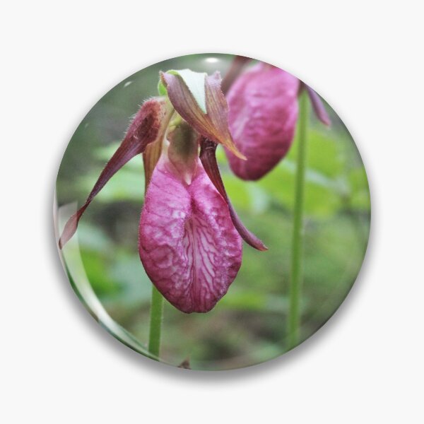 Item preview, Pink Lady's-slipper (Cypripedium acaule) designed and sold by Kathleen Daley.