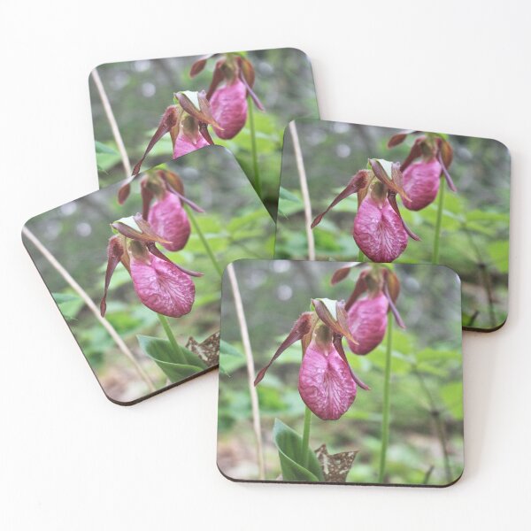 Item preview, Pink Lady's-slipper (Cypripedium acaule) designed and sold by Kathleen Daley.