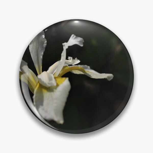 Item preview, Snow Queen Siberian Iris  designed and sold by Kathleen Daley.