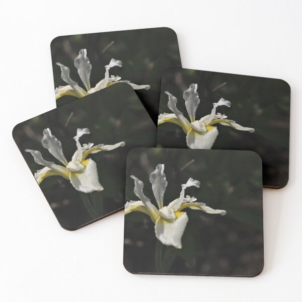 Item preview, Snow Queen Siberian Iris  designed and sold by Kathleen Daley.