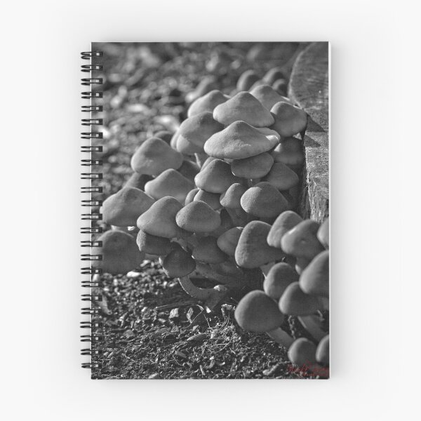 Item preview, Fungi (2) designed and sold by Wolf Sverak Photography.