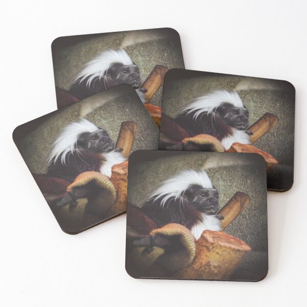 Item preview, cotton top tamarin designed and sold by whitedove457.