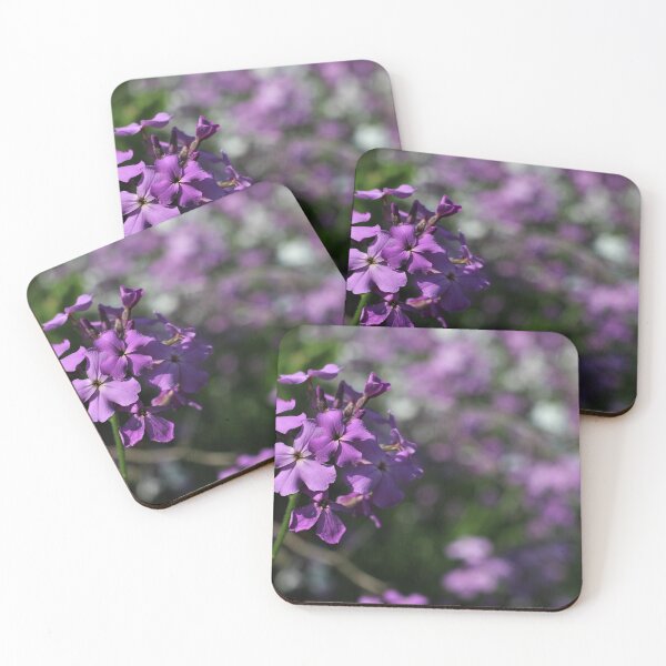 Item preview, Dame's Rocket (Hesperis matronalis) II designed and sold by Kathleen Daley.