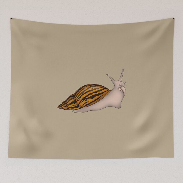 Item preview, Giant African Land Snail, Achatina achatina, tiger snail, albino designed and sold by anacecilia.