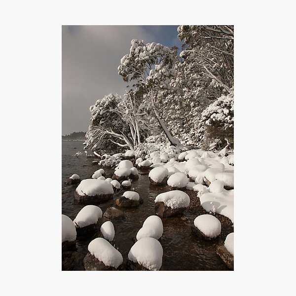 Item preview, Lake StClair, Winter , Tasmania designed and sold by David Jamrozik.