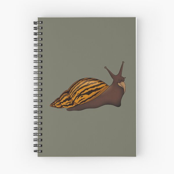 Item preview, Giant African Land Snail, Achatina achatina, tiger snail II designed and sold by anacecilia.