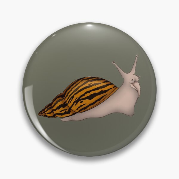 Item preview, Giant African Land Snail, Achatina achatina, tiger snail, albino designed and sold by anacecilia.