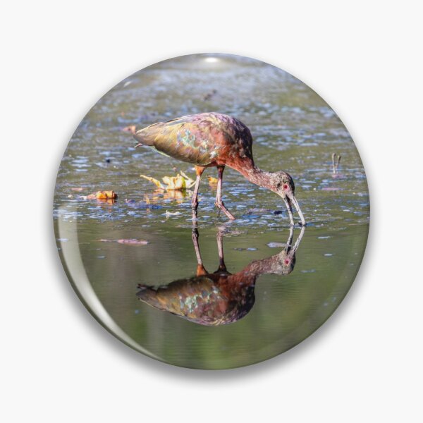 Item preview, Glossy Ibis Plegadis falcinellus designed and sold by PsychoAlien.com.