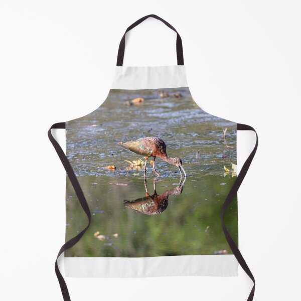 Item preview, Glossy Ibis Plegadis falcinellus designed and sold by PsychoAlien.com.