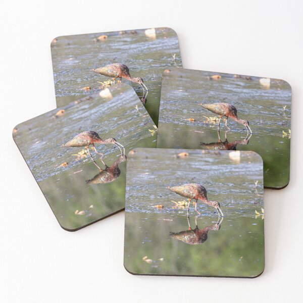 Item preview, Glossy Ibis Plegadis falcinellus designed and sold by PsychoAlien.com.
