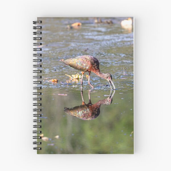 Item preview, Glossy Ibis Plegadis falcinellus designed and sold by PsychoAlien.com.