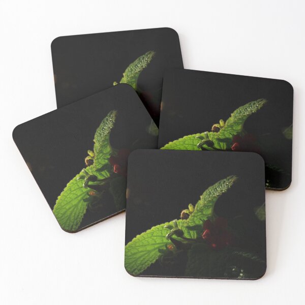 Item preview, Dark Night Plant Life #0 designed and sold by rolandixor.