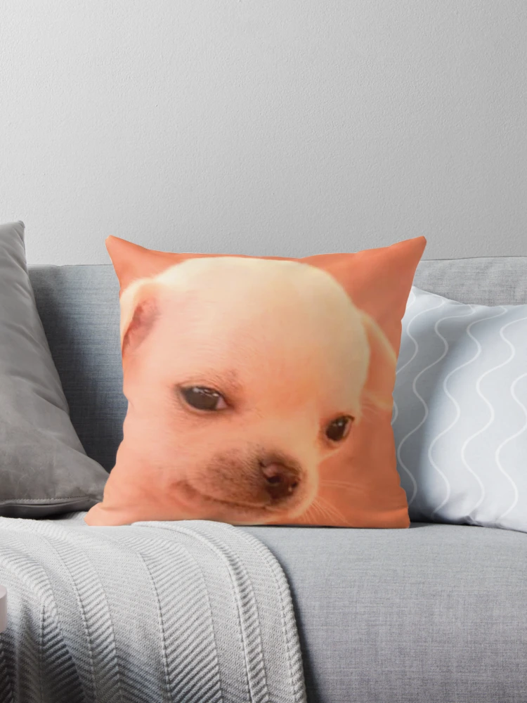 Doggie shop merch pillow