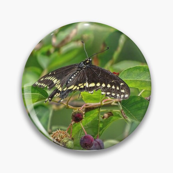 Item preview, Butterflies and Berries  designed and sold by Lynney.