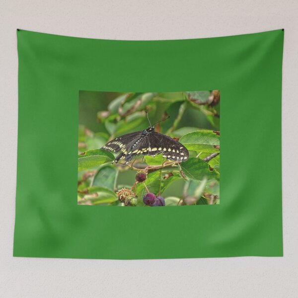 Item preview, Butterflies and Berries  designed and sold by Lynney.