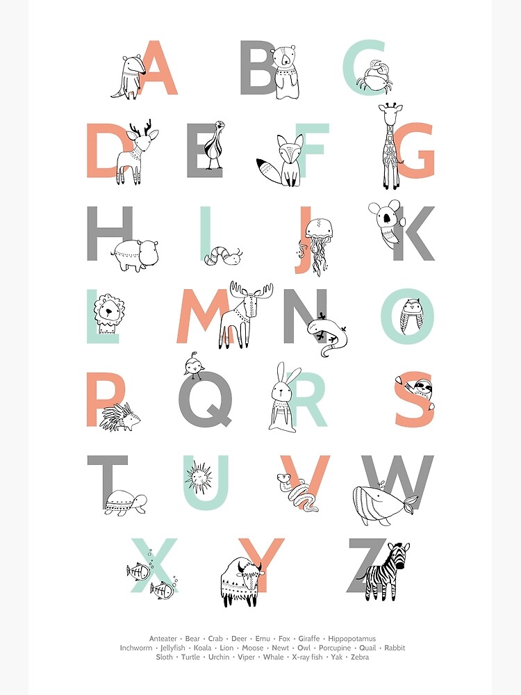 Animal Alphabet by AmyHamilton