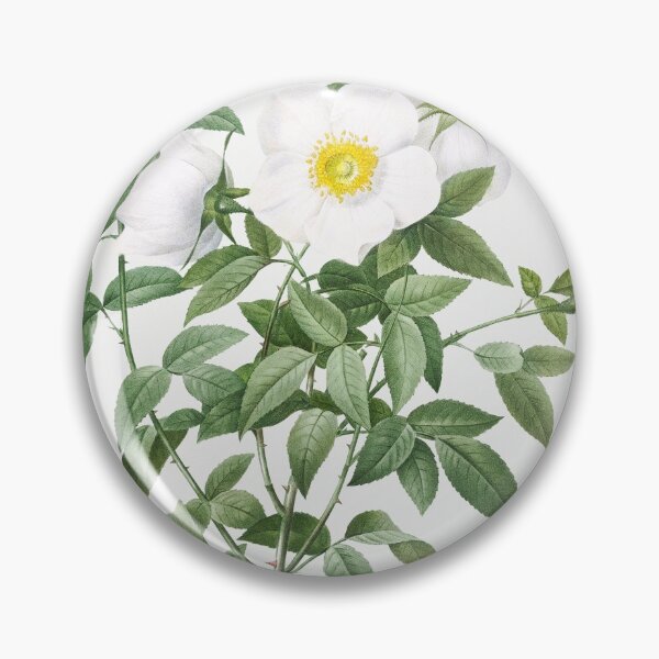Item preview, Les Roses by Pierre-Joseph Redouté designed and sold by EsotericBotanic.