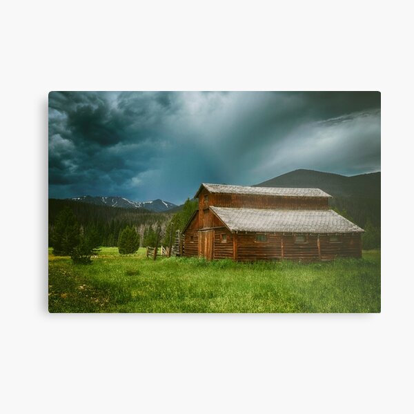 in the valley Metal Print
