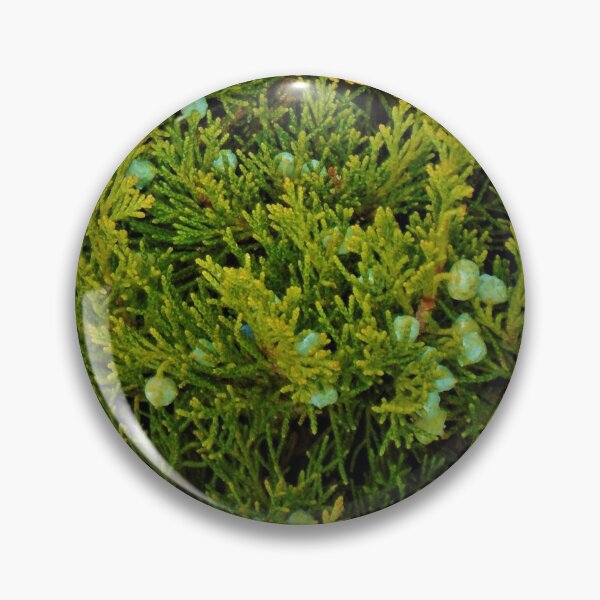 Item preview, Evergreen Juniper Tree Branches And Berries Photo Fabric Pattern Horizontal designed and sold by H3designs.