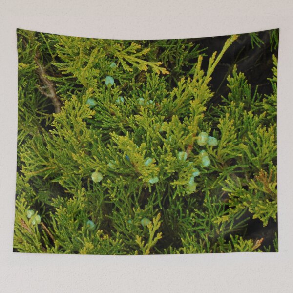Item preview, Evergreen Juniper Tree Branches And Berries Photo Fabric Pattern Horizontal designed and sold by H3designs.