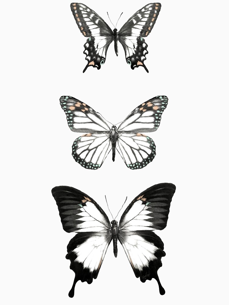 Butterflies // Align by AmyHamilton