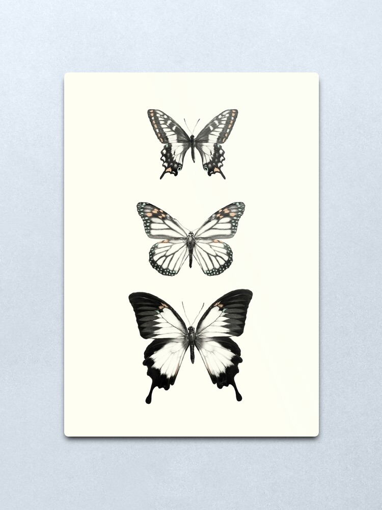 Alternate view of Butterflies // Align Metal Print