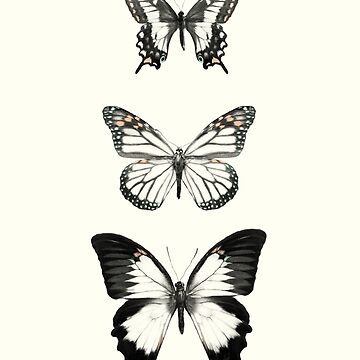 Artwork thumbnail, Butterflies // Align by AmyHamilton