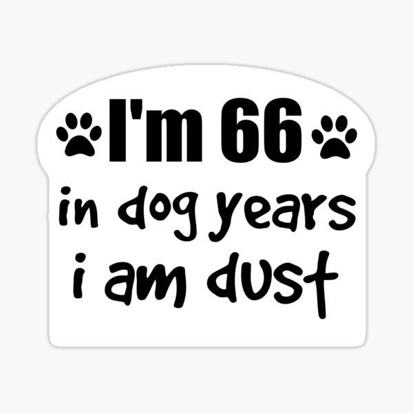 66 in cheap dog years