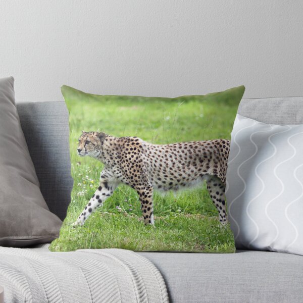 Item preview, Cheetah on the move designed and sold by nymphalid.