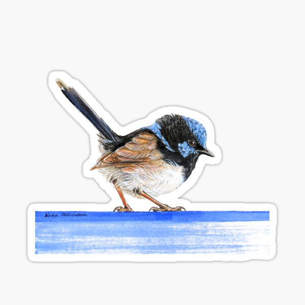 Item preview, Little King of the Fairies - Blue Wren - male Superb Fairy-Wren illustration designed and sold by Nadya Neklioudova.