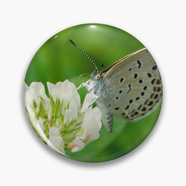 Item preview, Black Dotted Butterfly designed and sold by Katharina Weilnböck.