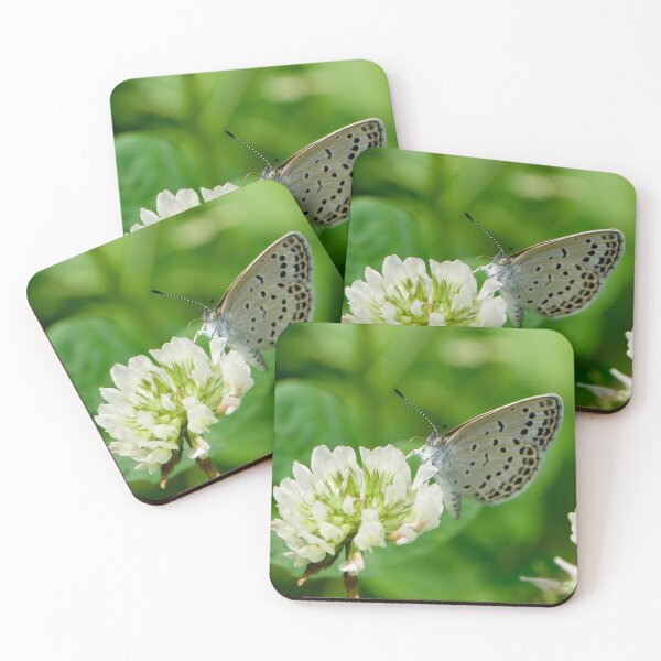 Item preview, Black Dotted Butterfly designed and sold by Katharina Weilnböck.