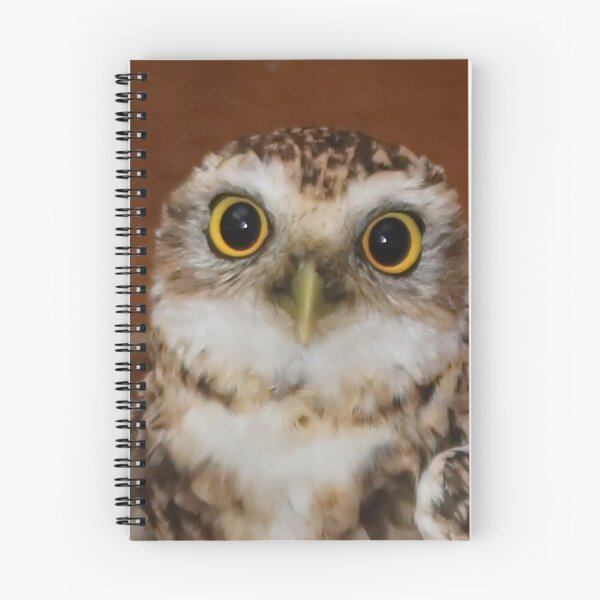 Item preview, Burrowing Owl, designed and sold by AnnDixon.