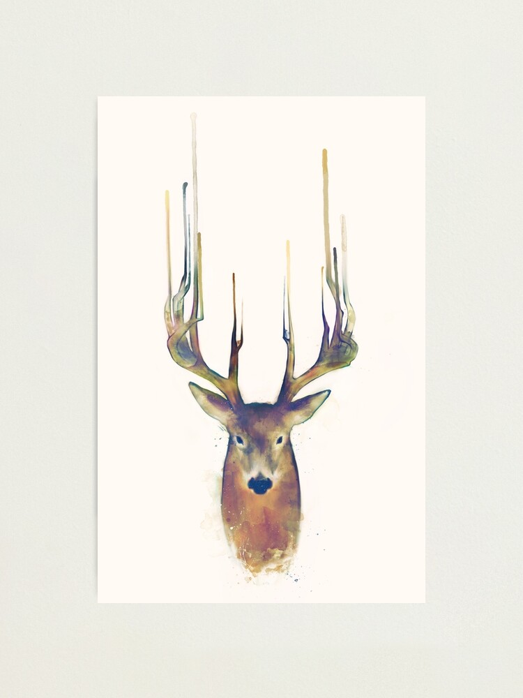 Alternate view of Deer // Steadfast Photographic Print