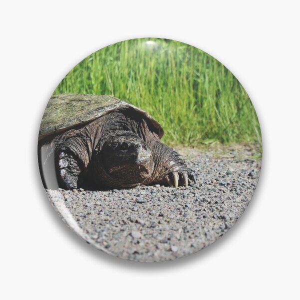 Item preview, Common Snapping Turtle (Chelydra serpentina) designed and sold by Kathleen Daley.
